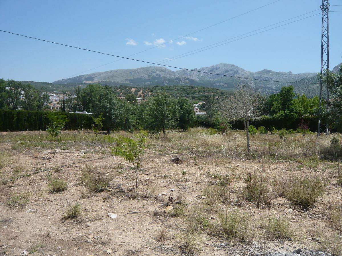Venta Las Delicias Villanueva del Rosario Экстерьер фото